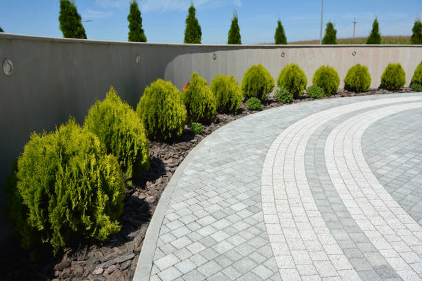 Best Driveway Pavers Near Me  in Cleary, MS