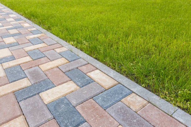 Best Driveway Pavers Contractor  in Cleary, MS
