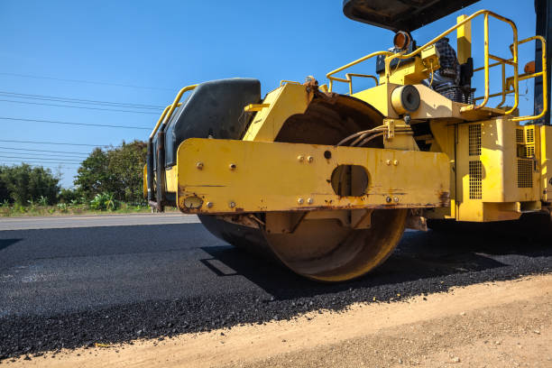 Best Professional Driveway Pavers  in Cleary, MS